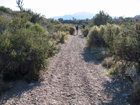 Quartzite Mountain