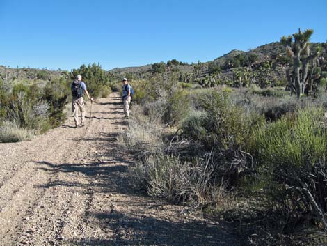 Quartzite Mountain