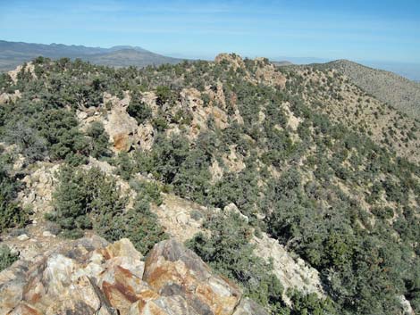 Quartzite Mountain