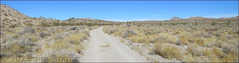 Alamo-Badger Connector Road