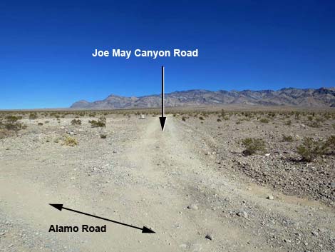 Alamo Road