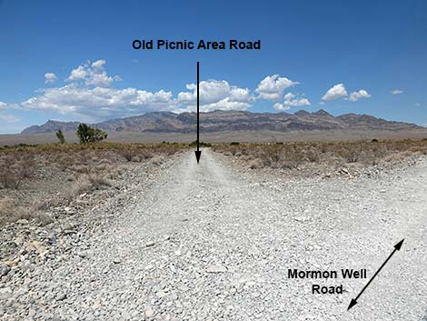 Mormon Well Road