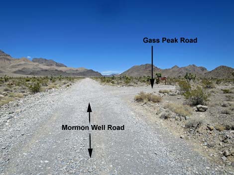 Mormon Well Road