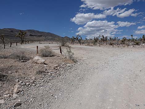 Mormon Well Road