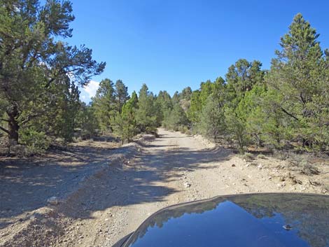 Mormon Well Road