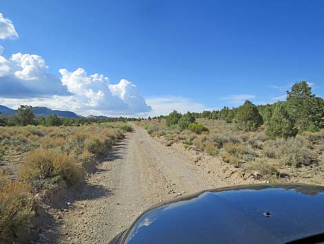 Mormon Well Road