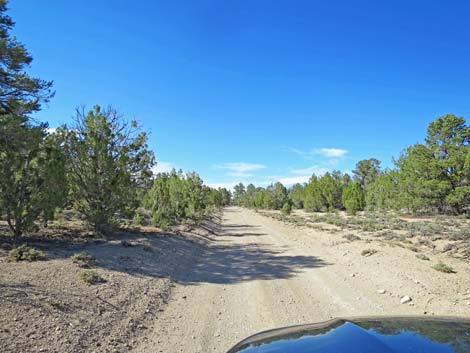 Mormon Well Road