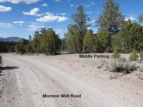 Mormon Well Road