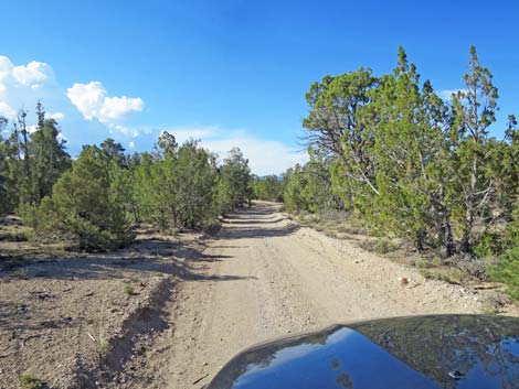 Mormon Well Road