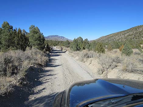 Mormon Well Road