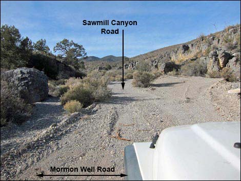 Mormon Well Road