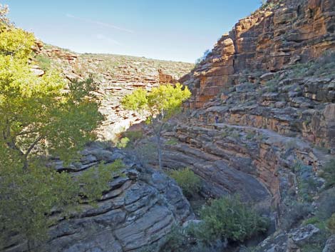 Bright Angel Trail