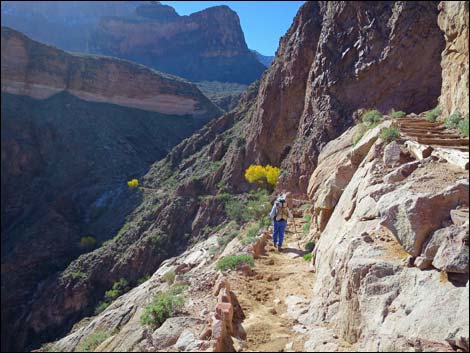 Bright Angel Trail