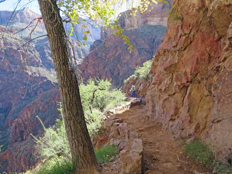 Bright Angel Trail