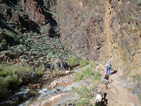 Bright Angel Trail