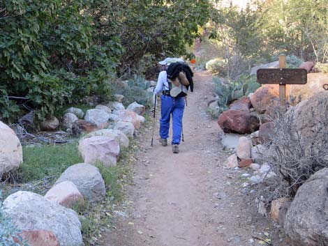 Bright Angel Trail