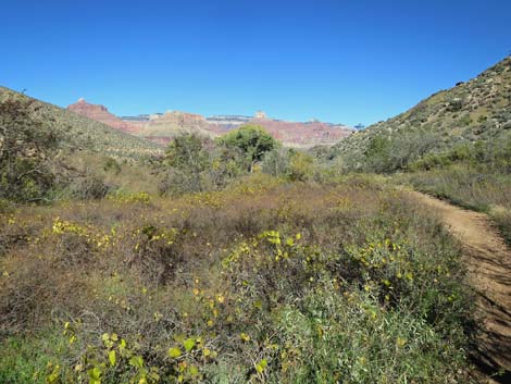 Bright Angel Trail