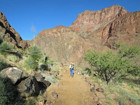 Bright Angel Trail