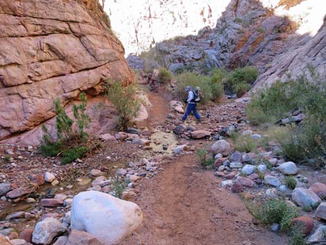 Bright Angel Trail