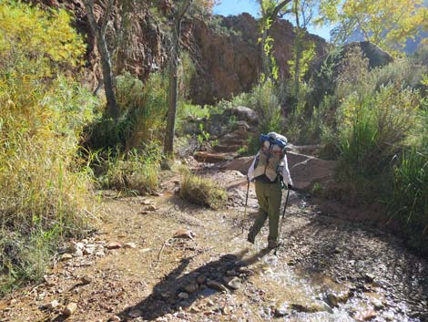 Bright Angel Trail