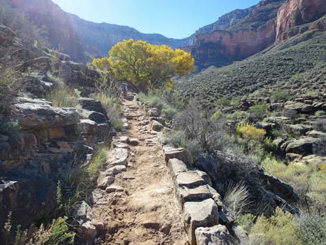 Bright Angel Trail