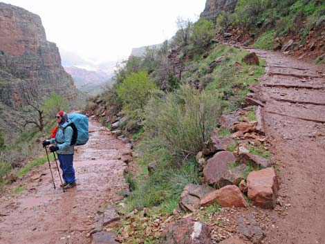 Bright Angel Trail