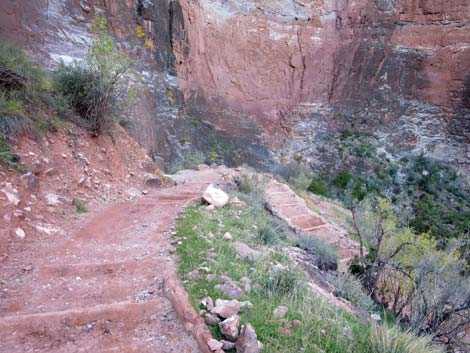 Bright Angel Trail