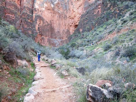 Bright Angel Trail