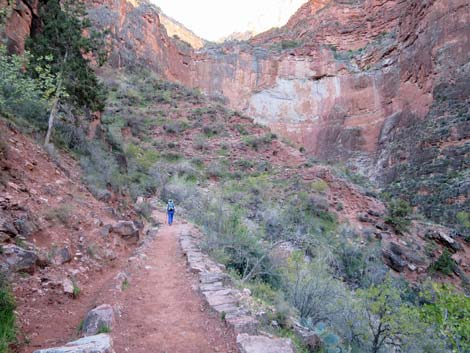 Bright Angel Trail