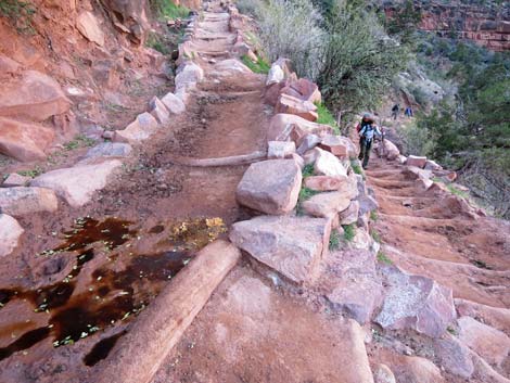 Bright Angel Trail