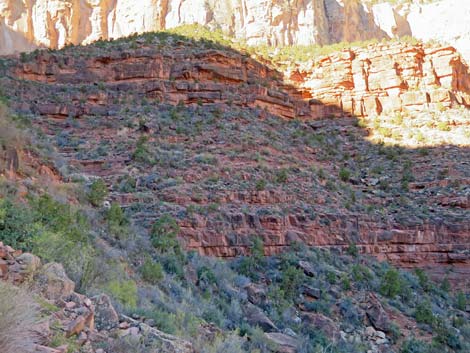 Bright Angel Trail