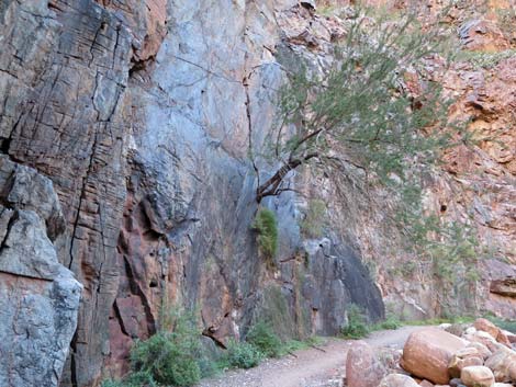 North Kaibab Trail