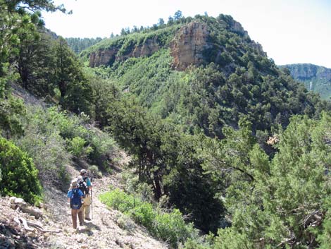 Old Cattle Trail