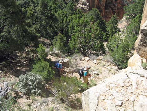 Old Cattle Trail