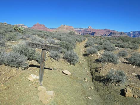 Plateau Point Trail