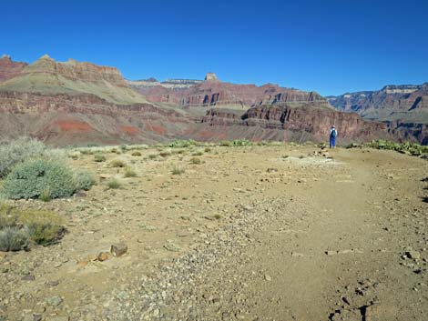 Plateau Point Trail