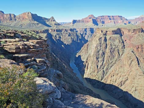 Plateau Point Trail