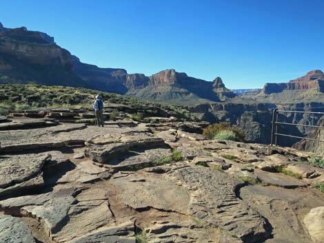 Plateau Point Trail