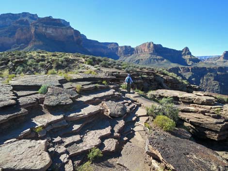 Plateau Point Trail