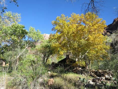 Bright Angel Trail