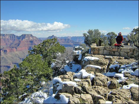 Rim Trail