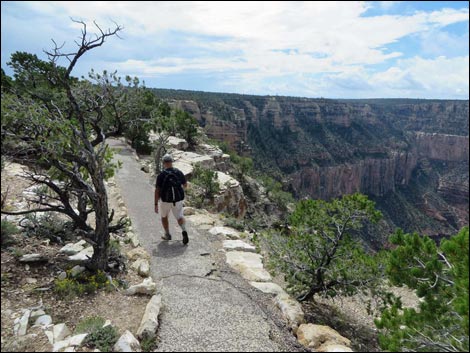 Rim Trail