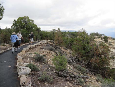 Rim Trail