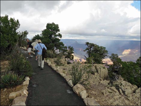 Rim Trail