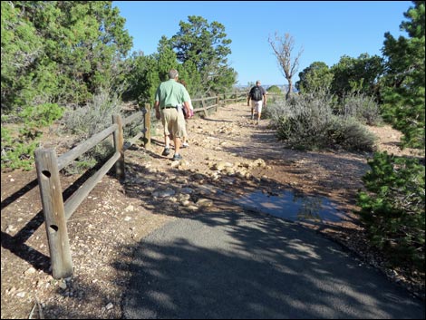 Rim Trail