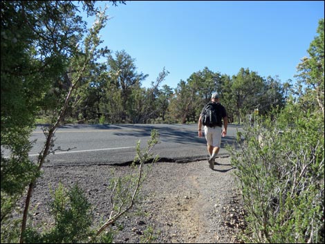 Rim Trail