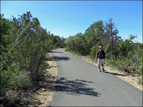 Rim Trail