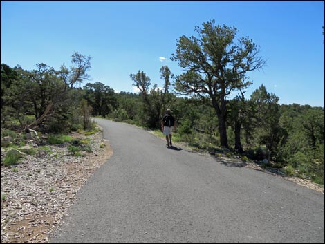 Rim Trail