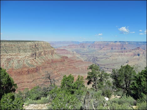 Rim Trail