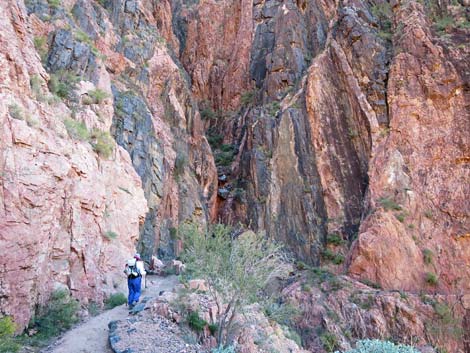 River Trail